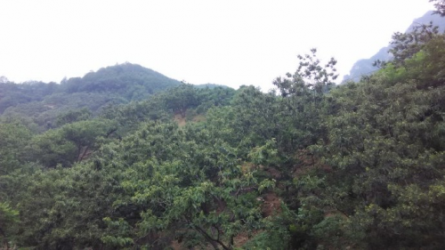 静水仙居农家院邀您农家避暑凉游兴隆天子山风景区