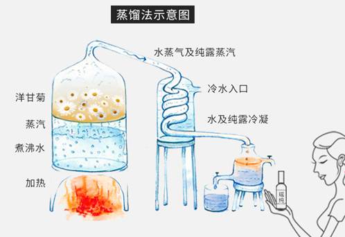 瑶纯|为什么纯露还是有机的好？