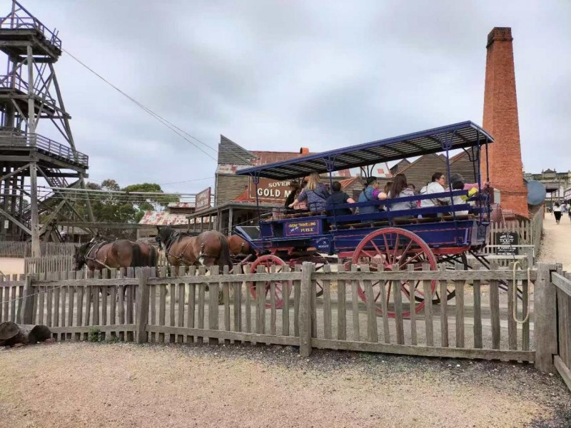 澳大利亚华人历史博物馆amofch 澳大利亚华人历史100年回顾