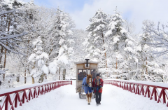 凛冬之礼：当露天温泉遇上豪雪地带