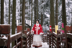 宝山第十二届冰雪温泉嘉年华启幕——解锁冬日康养新体验